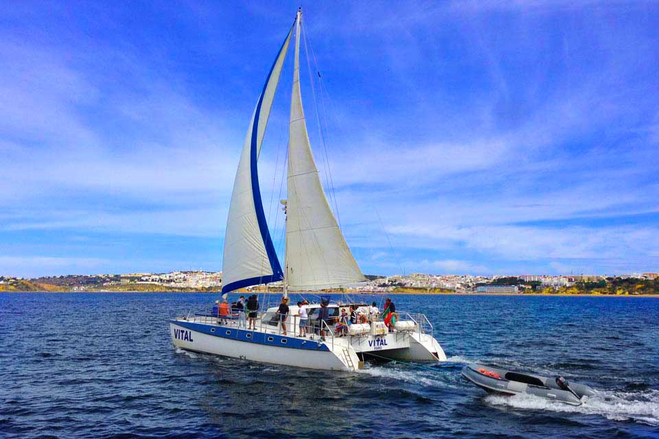 vilamoura catamaran boat trips
